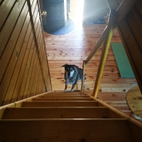 Treppe von der Schlafgalerie zum Wohnbereich